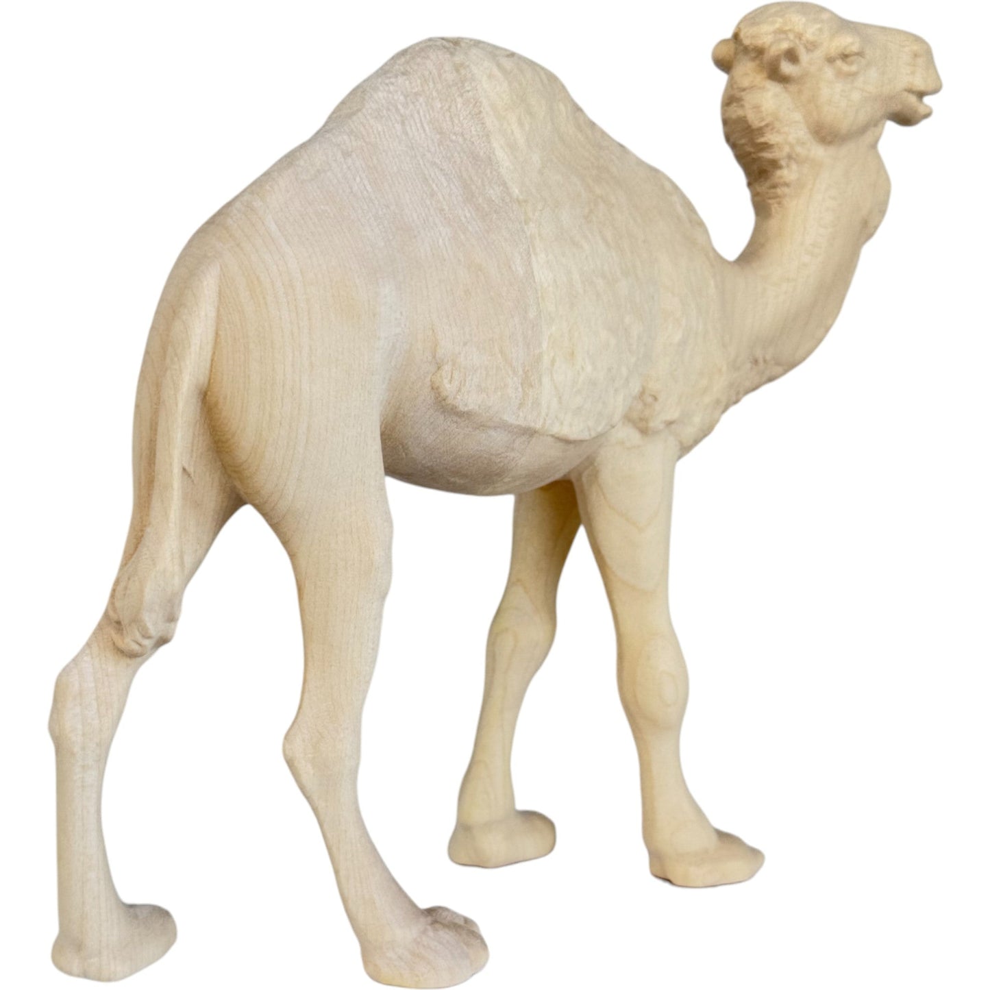 Standing Camel - Maple Wood