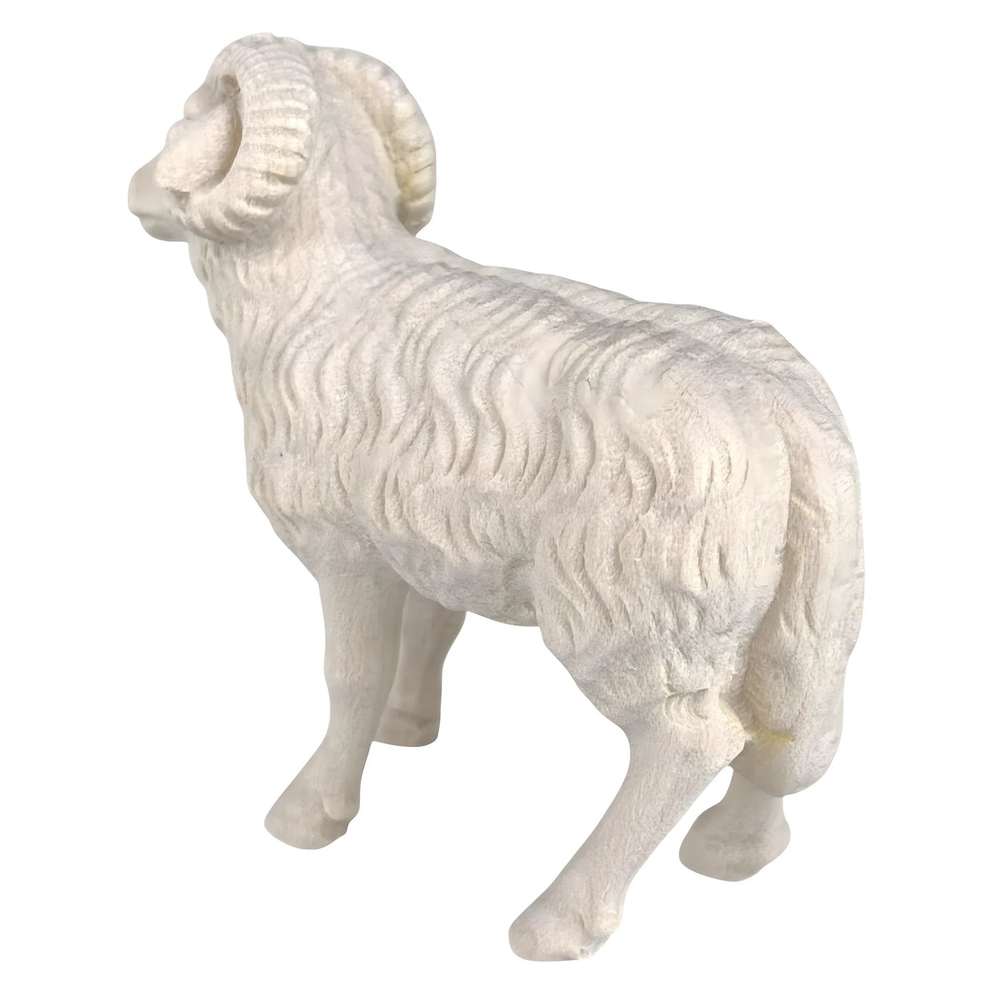Ram in Maple Wood