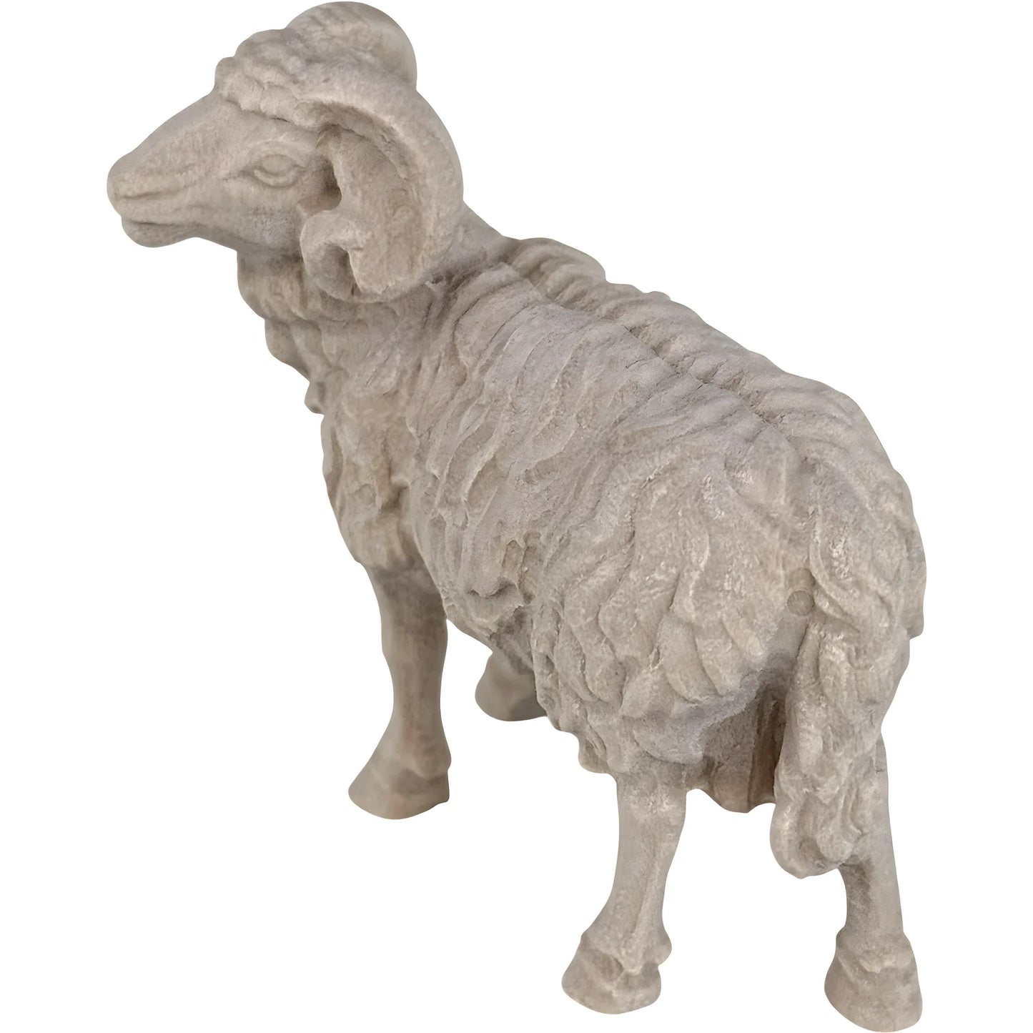 Ram - Maple Wood