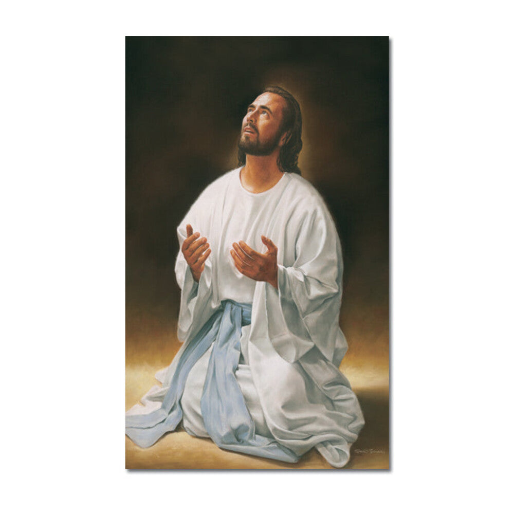 Expressions Of Christ Banner - Advocate