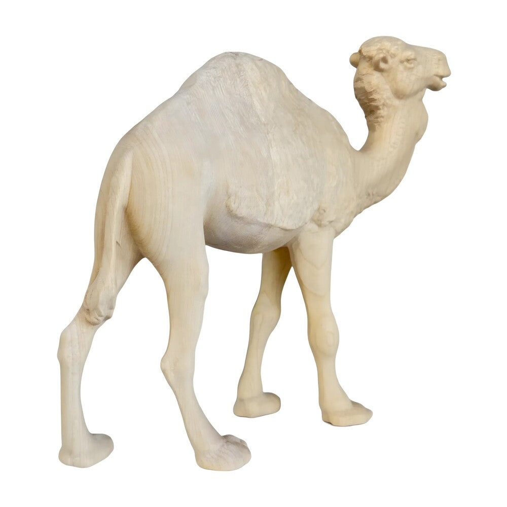 Standing Camel in Maple Wood