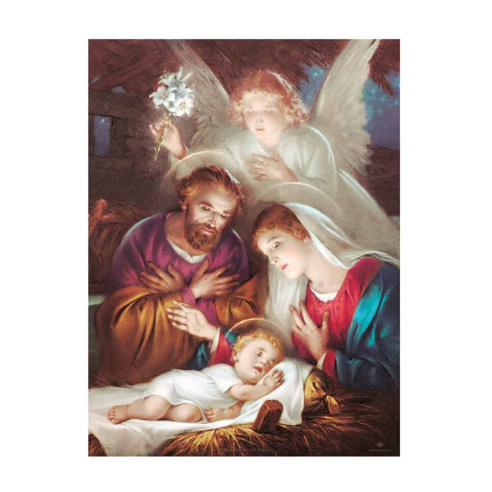 Nativity Printed Banner