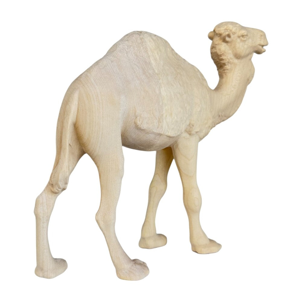 Standing Camel - Maple Wood