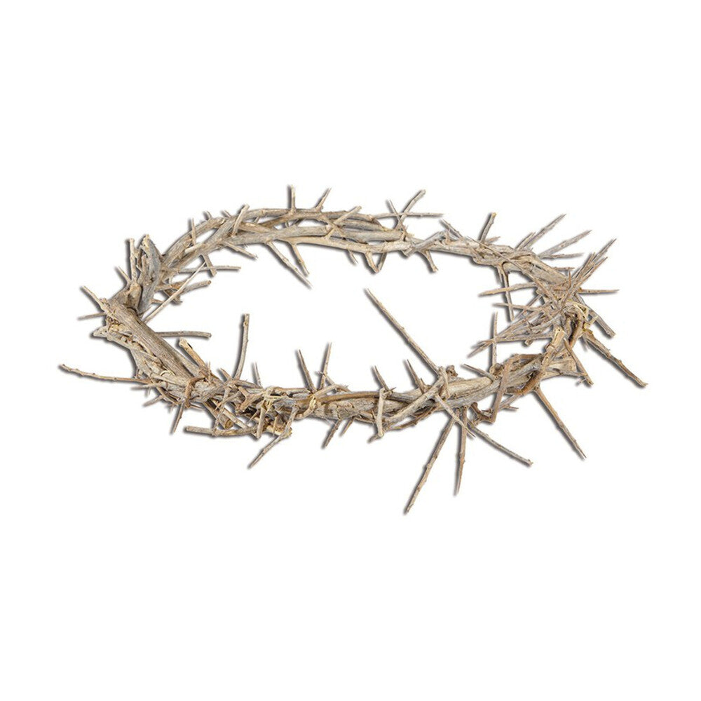 11" Crown of Thorns