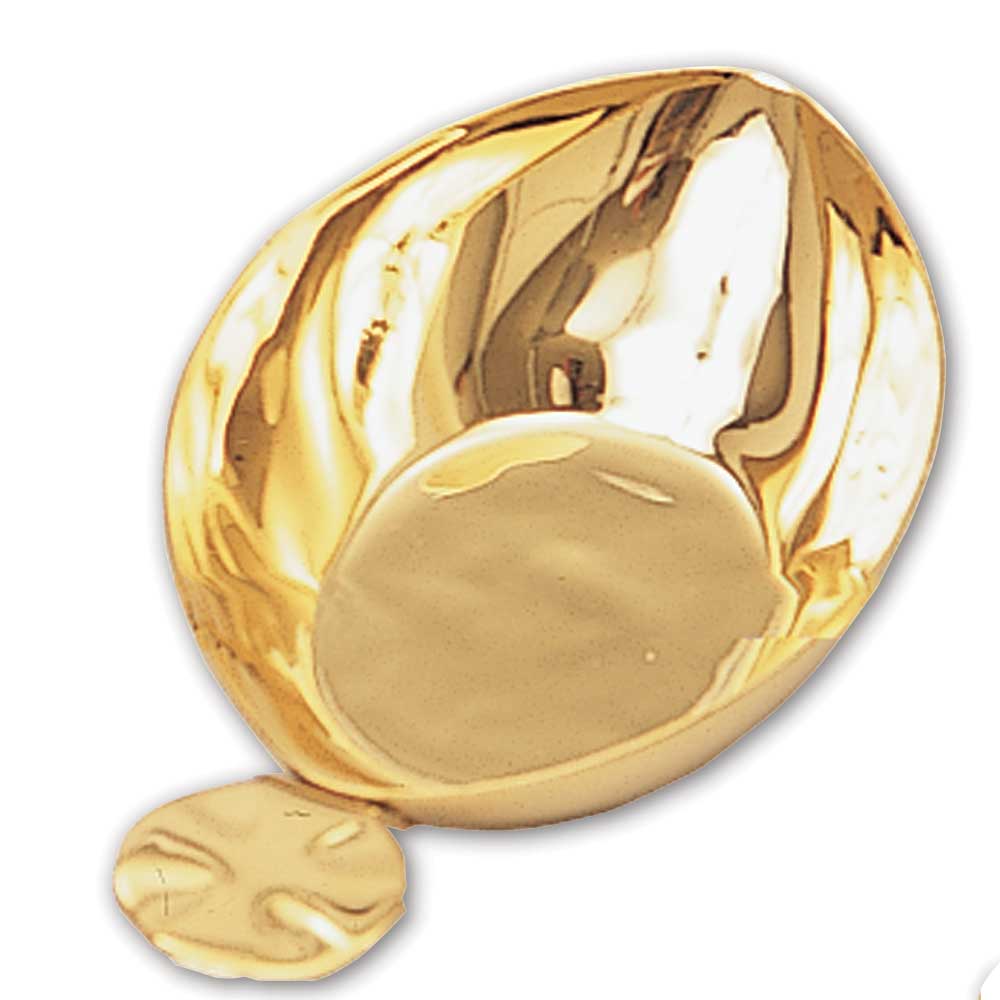 5" Long Baptismal Shell