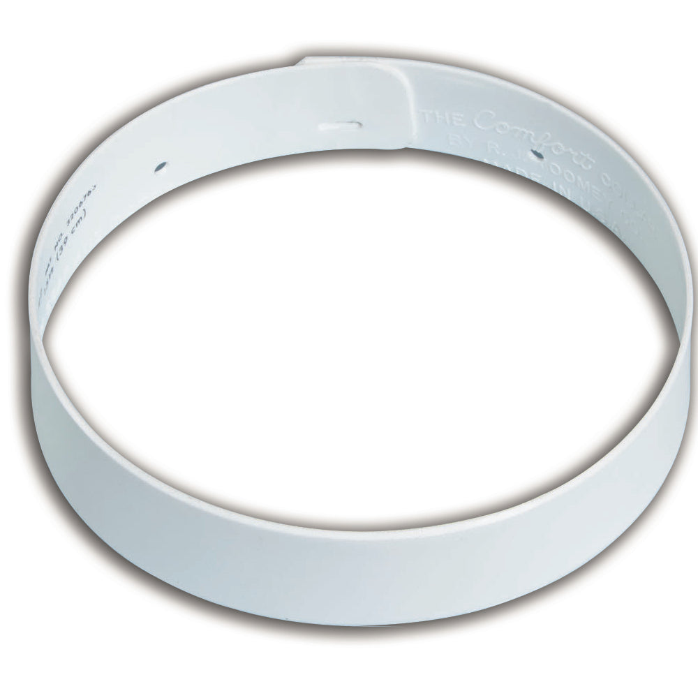 R. J. Toomey Single-Ply Comfort Collar Pk of 2