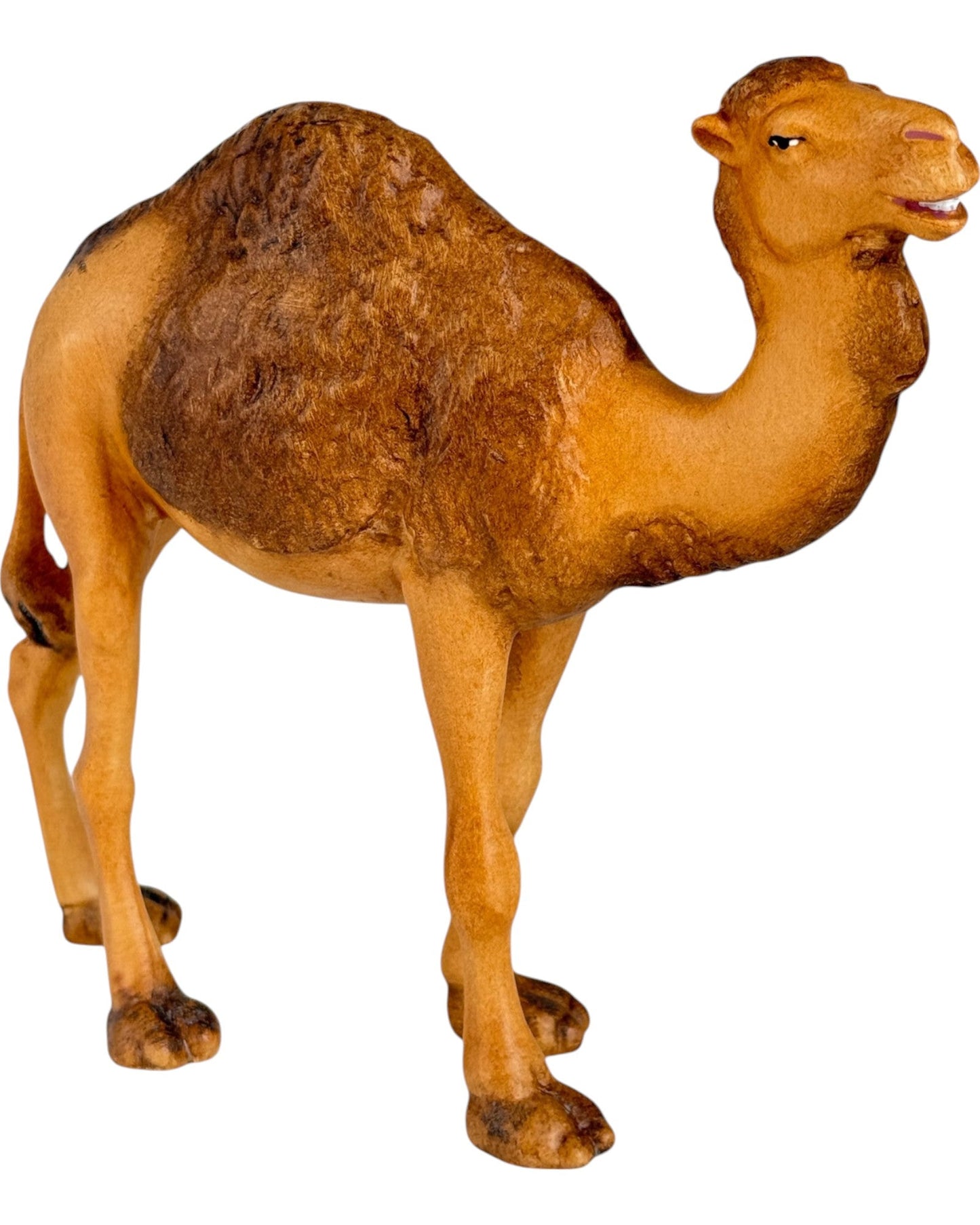Standing Camel - Maple Wood