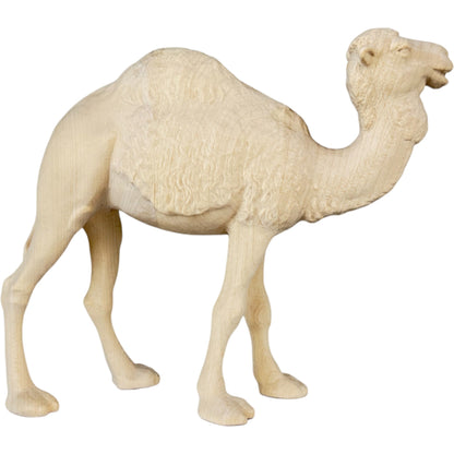 Standing Camel - Maple Wood