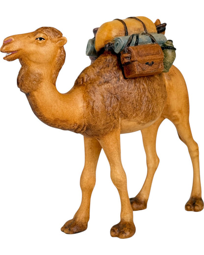 Camel with Gifts - Maple Wood