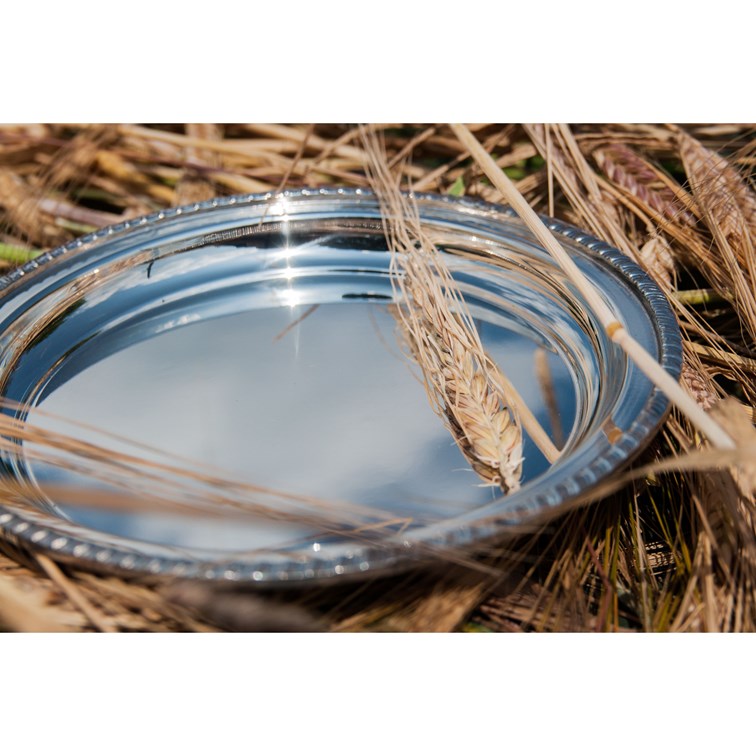 Small Gadroon Rim Pewter Tray