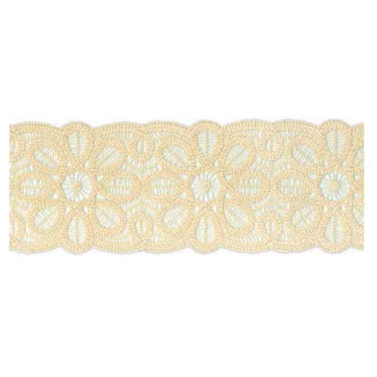 Plissé Cotta with Ornamental Floral Lace Edition