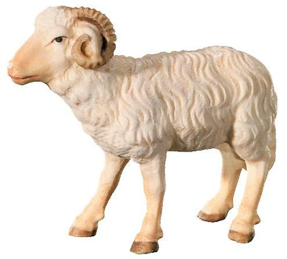 Ram in Maple Wood