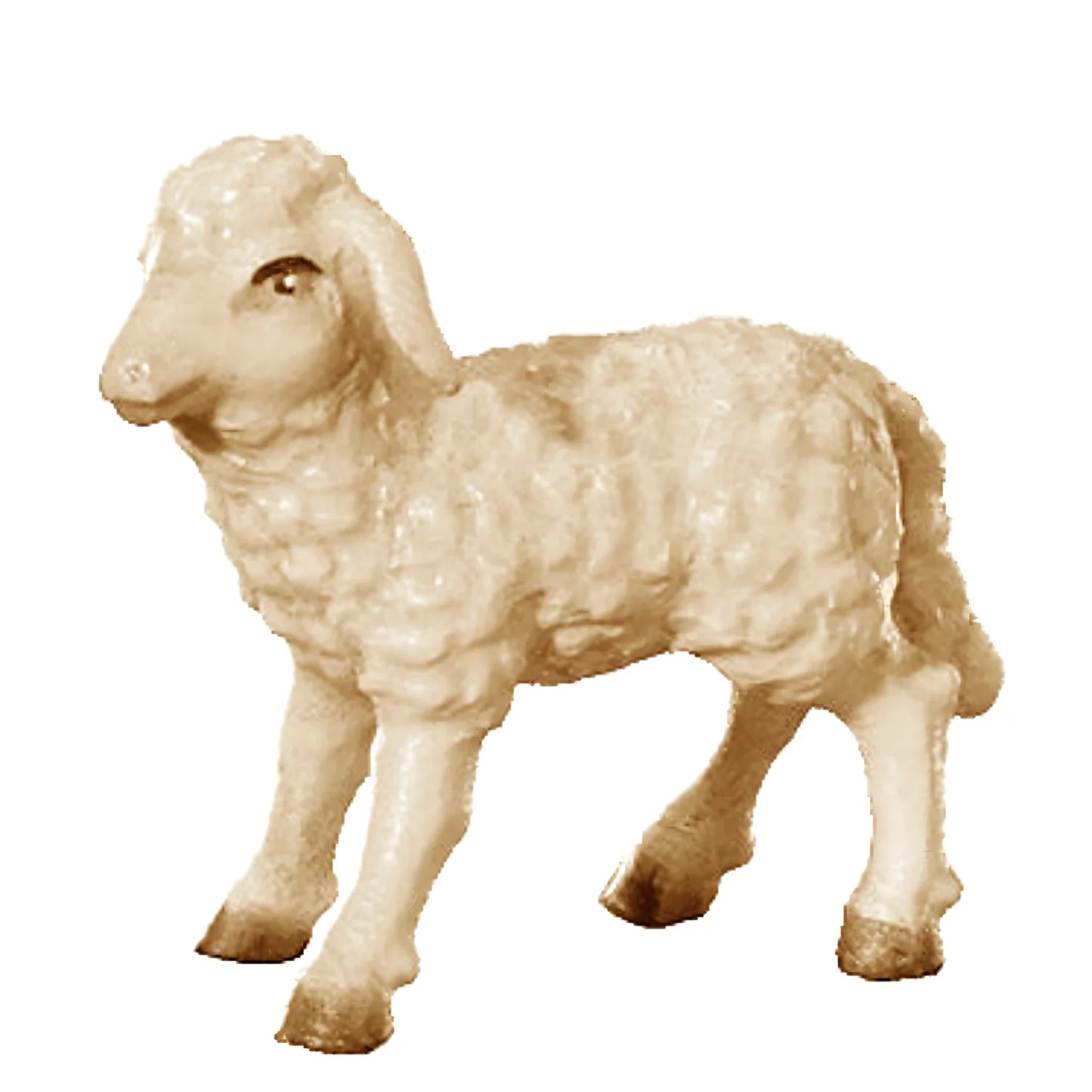 Woolly Lamb in Maple Wood