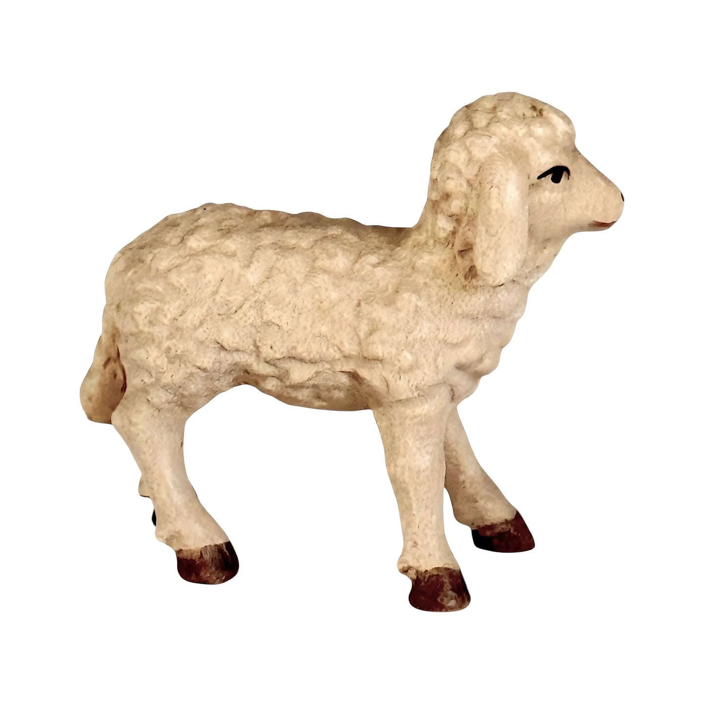 Woolly Lamb in Maple Wood