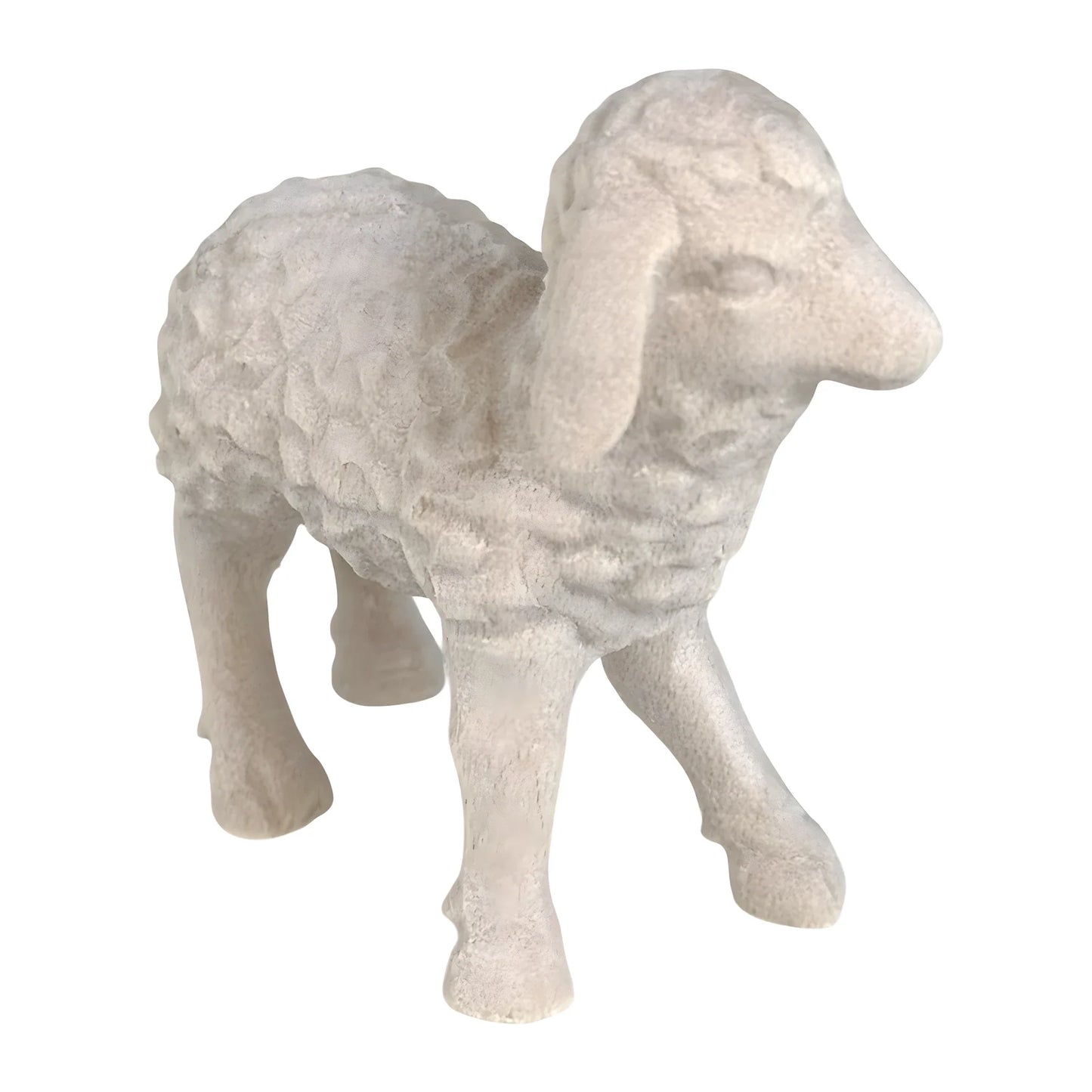 Woolly Lamb in Maple Wood