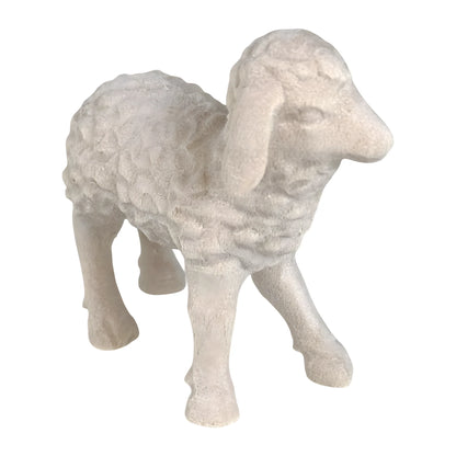 Woolly Lamb in Maple Wood