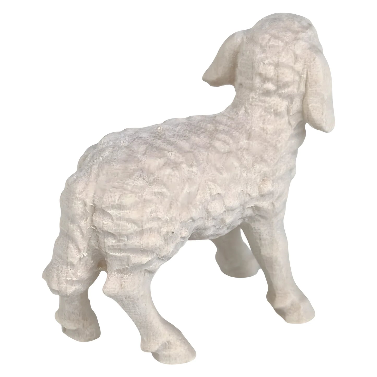 Woolly Lamb in Maple Wood