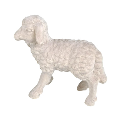 Woolly Lamb in Maple Wood