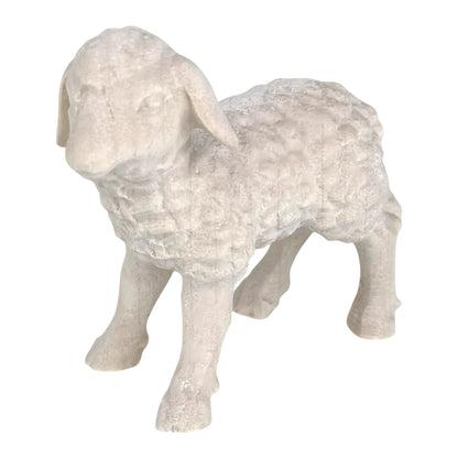 Woolly Lamb in Maple Wood
