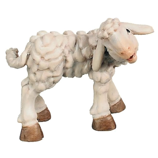 Lamb - Maple Wood