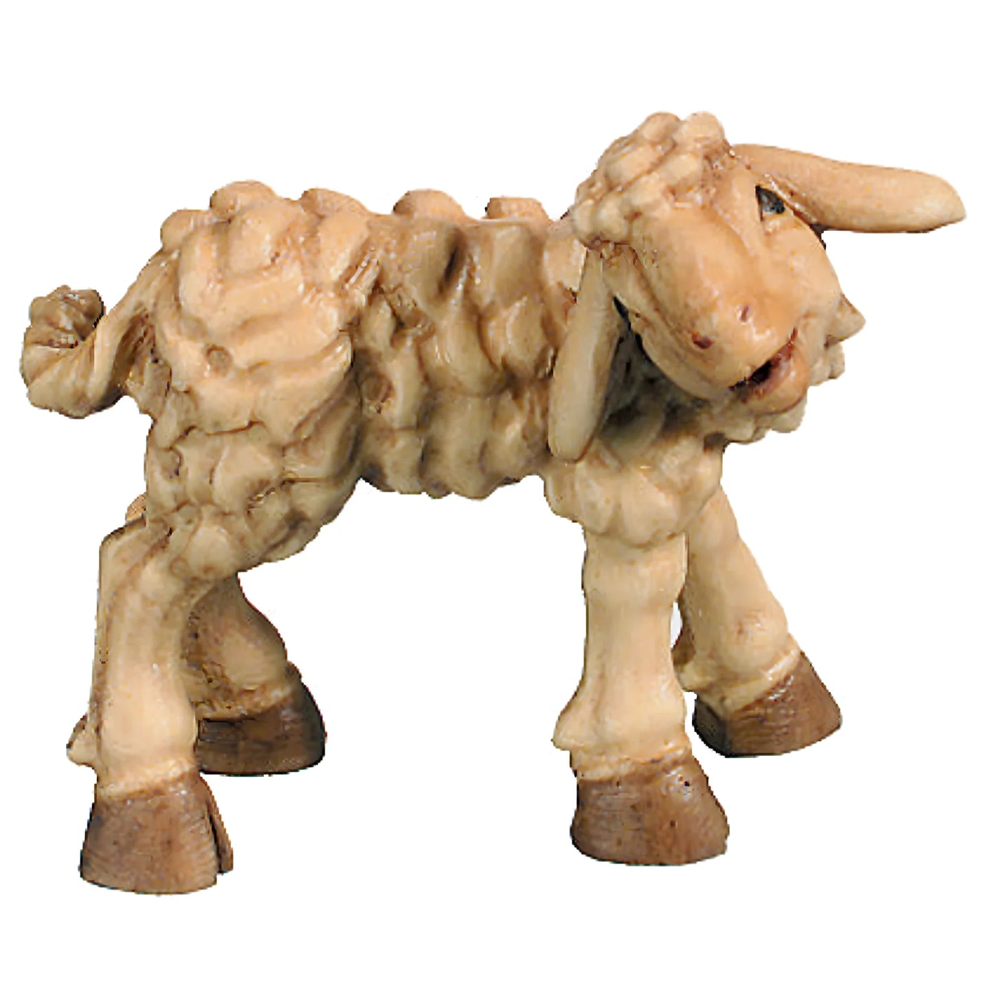 Lamb - Maple Wood
