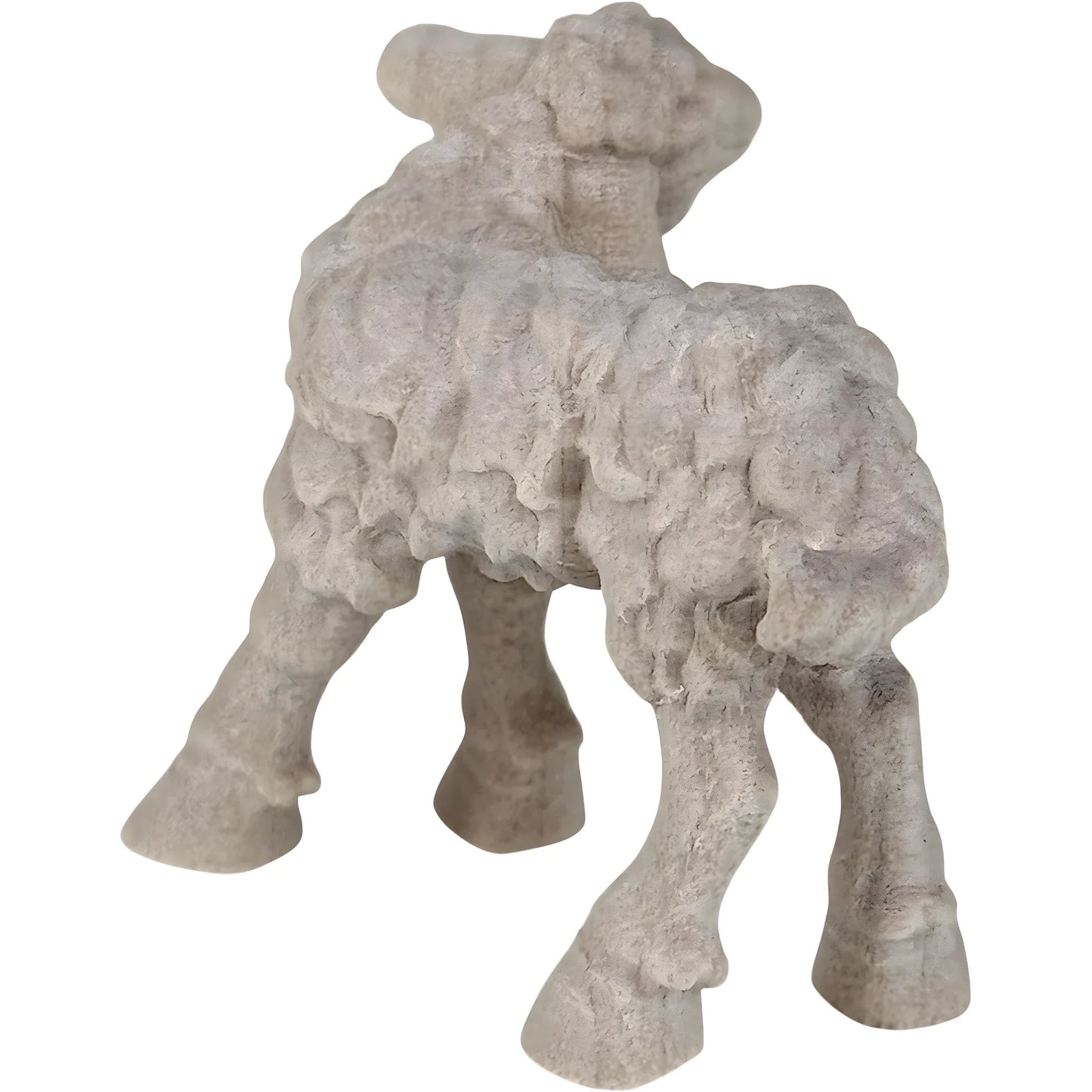 Lamb - Maple Wood