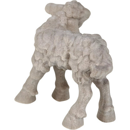 Lamb - Maple Wood