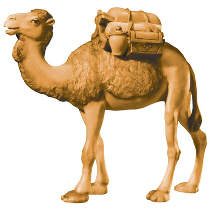 Camel with Gifts - Maple Wood