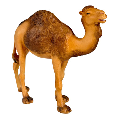 Standing Camel in Maple Wood