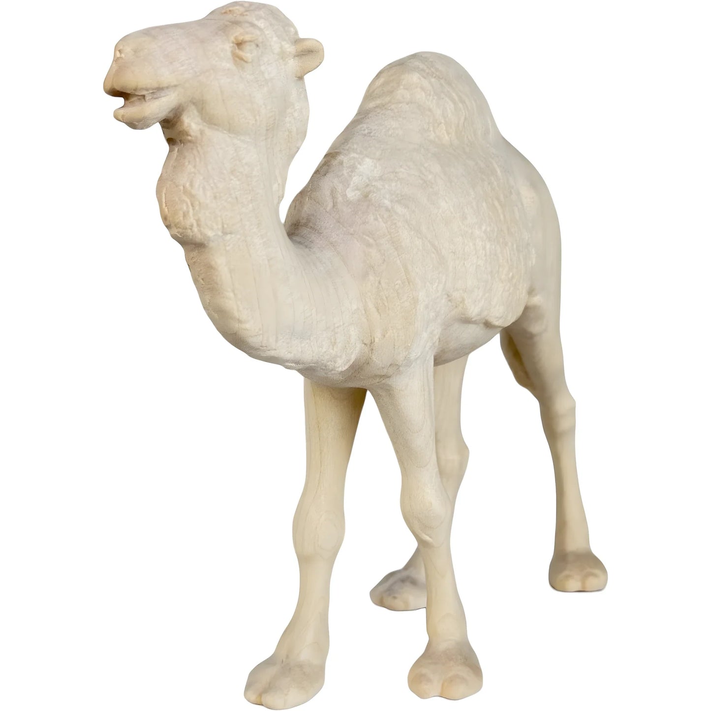 Standing Camel in Maple Wood