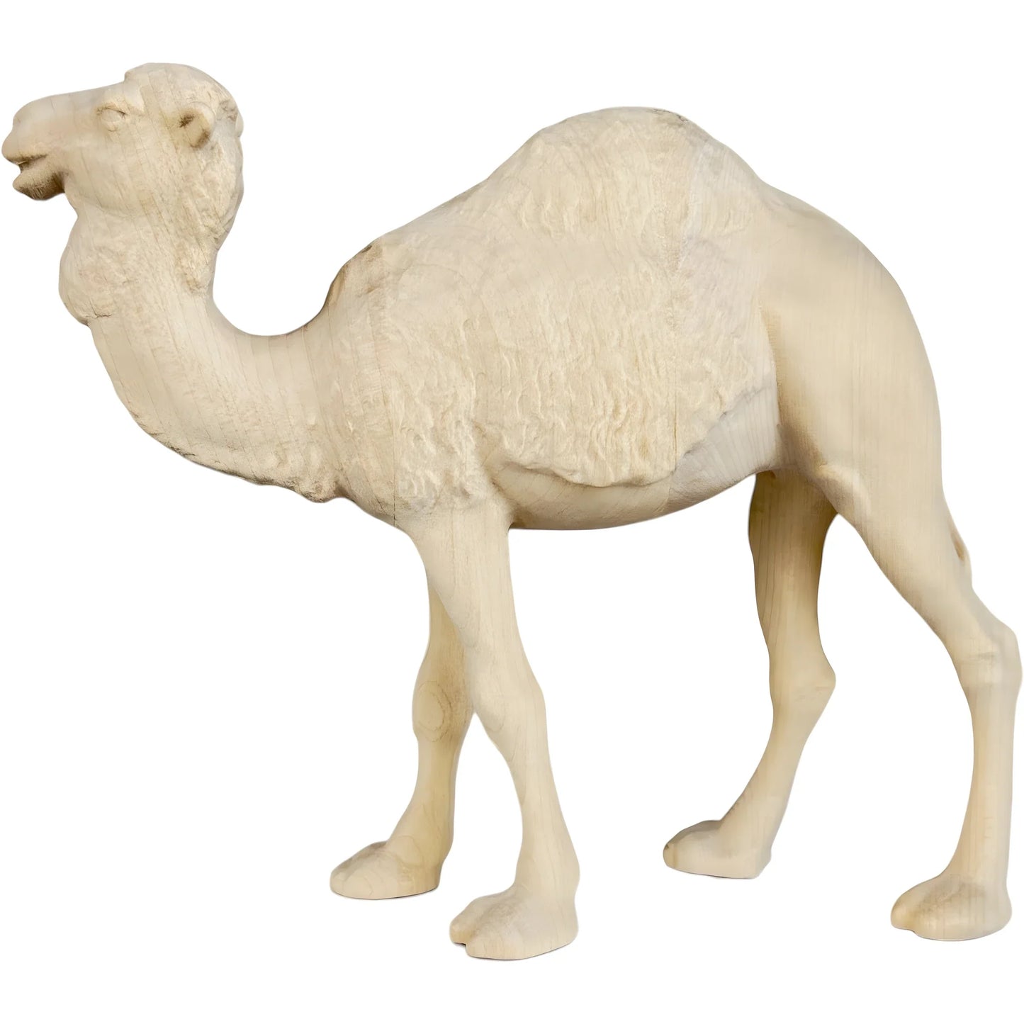 Standing Camel in Maple Wood