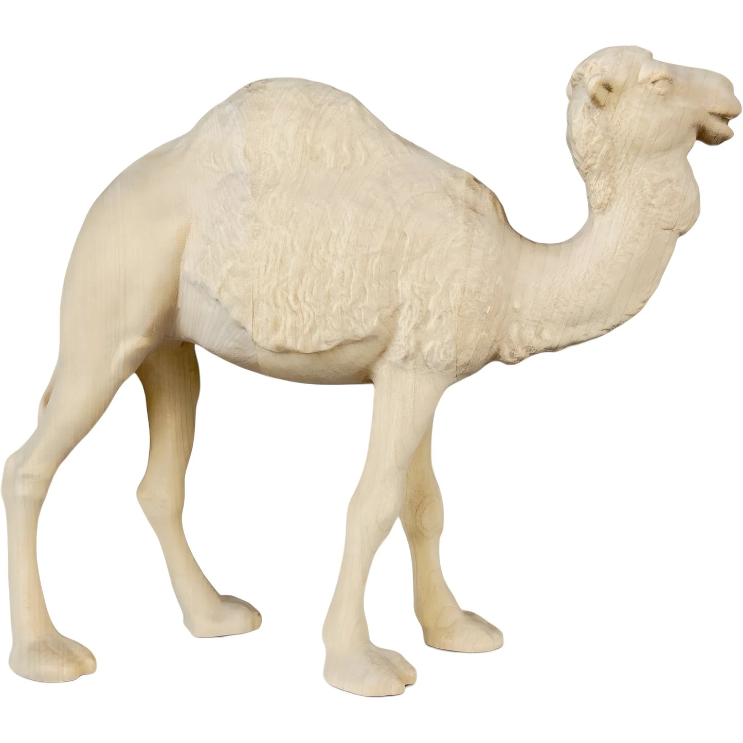 Standing Camel in Maple Wood