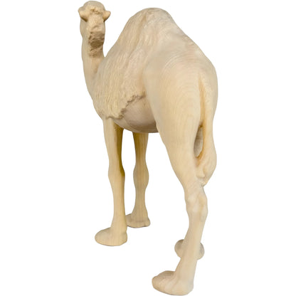 Standing Camel in Maple Wood