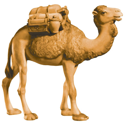 Standing Camel - Maple Wood