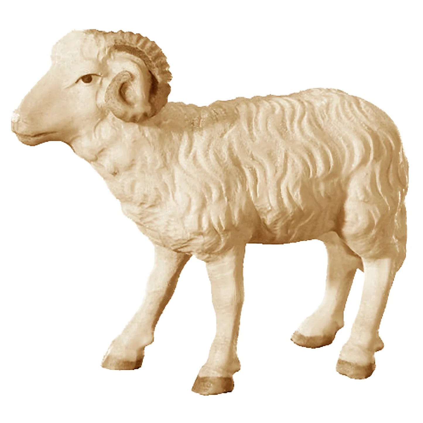 Ram in Maple Wood