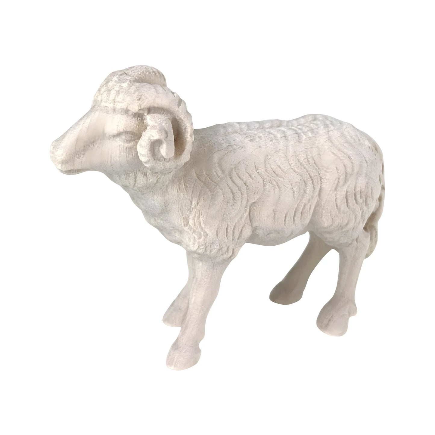 Ram in Maple Wood