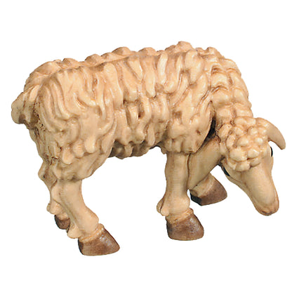 Grazing Sheep - Maple Wood