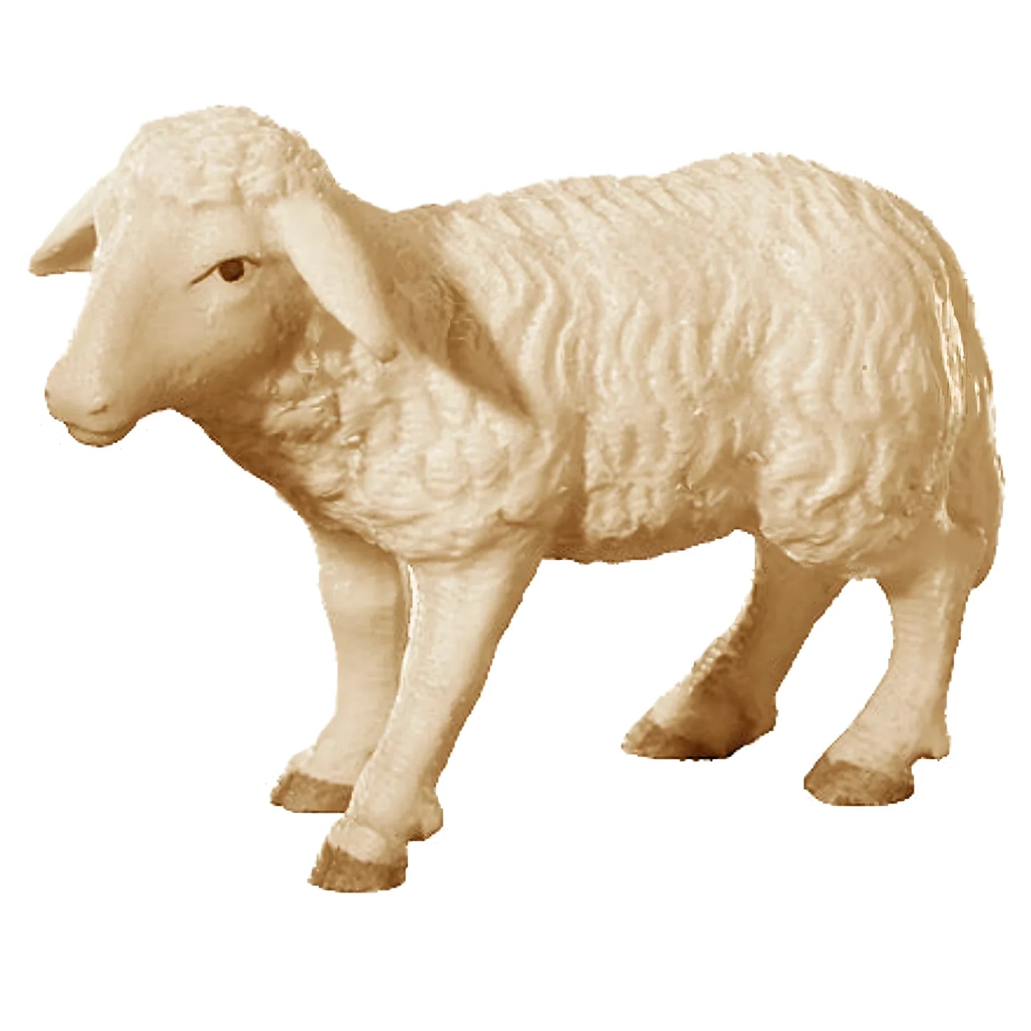 Standing Sheep in Maple Wood