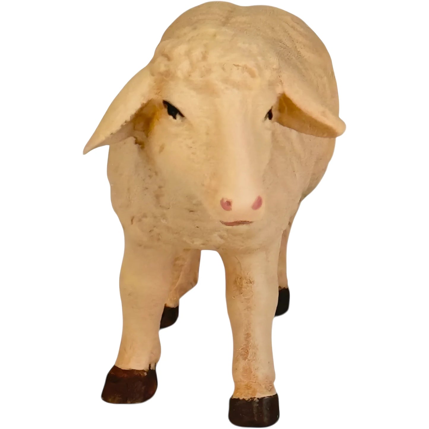 Standing Sheep in Maple Wood