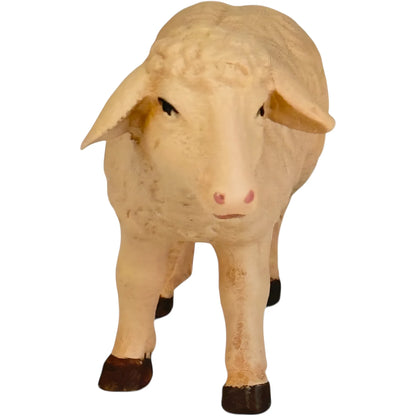 Standing Sheep in Maple Wood