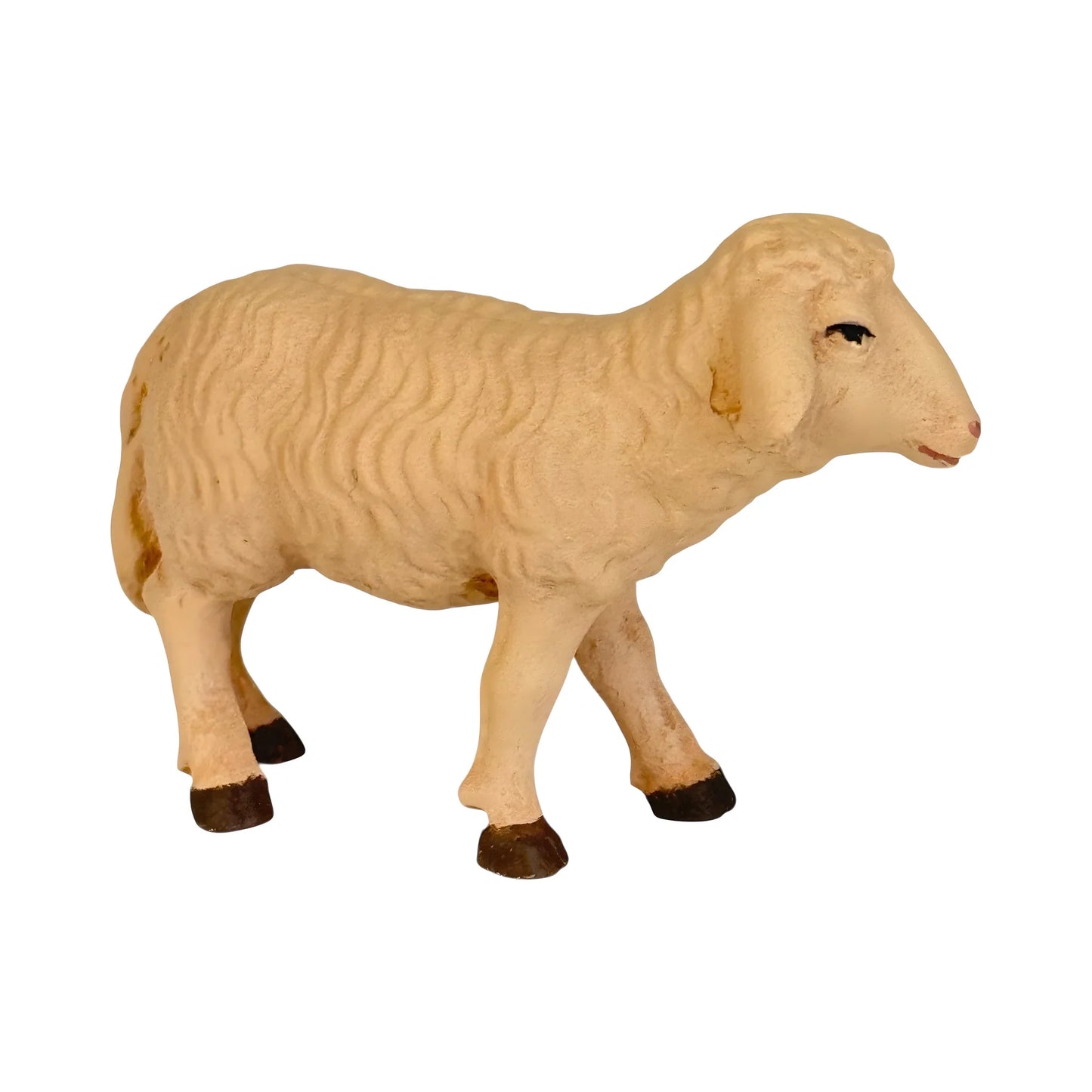 Standing Sheep in Maple Wood