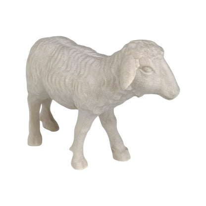 Standing Sheep in Maple Wood