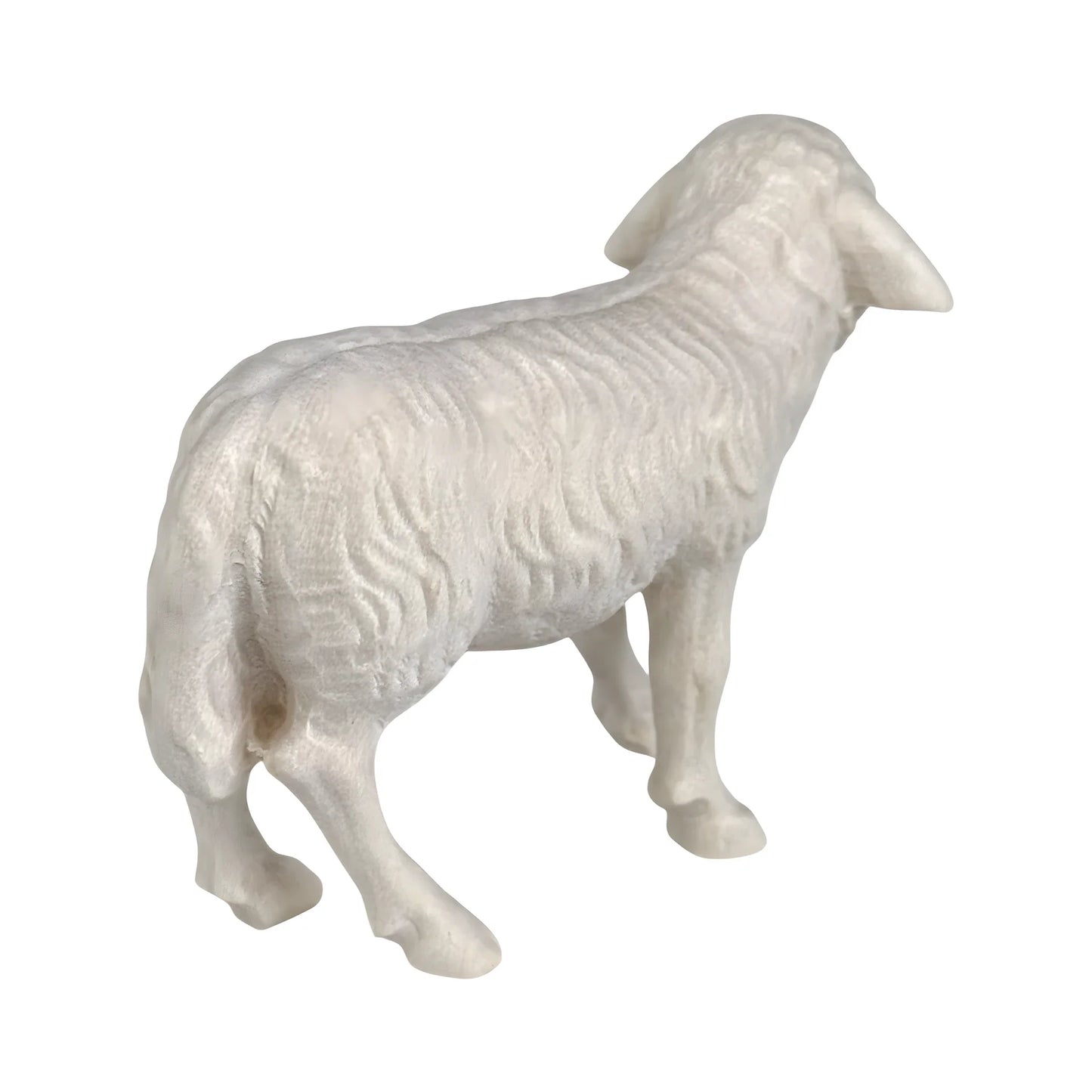 Standing Sheep in Maple Wood