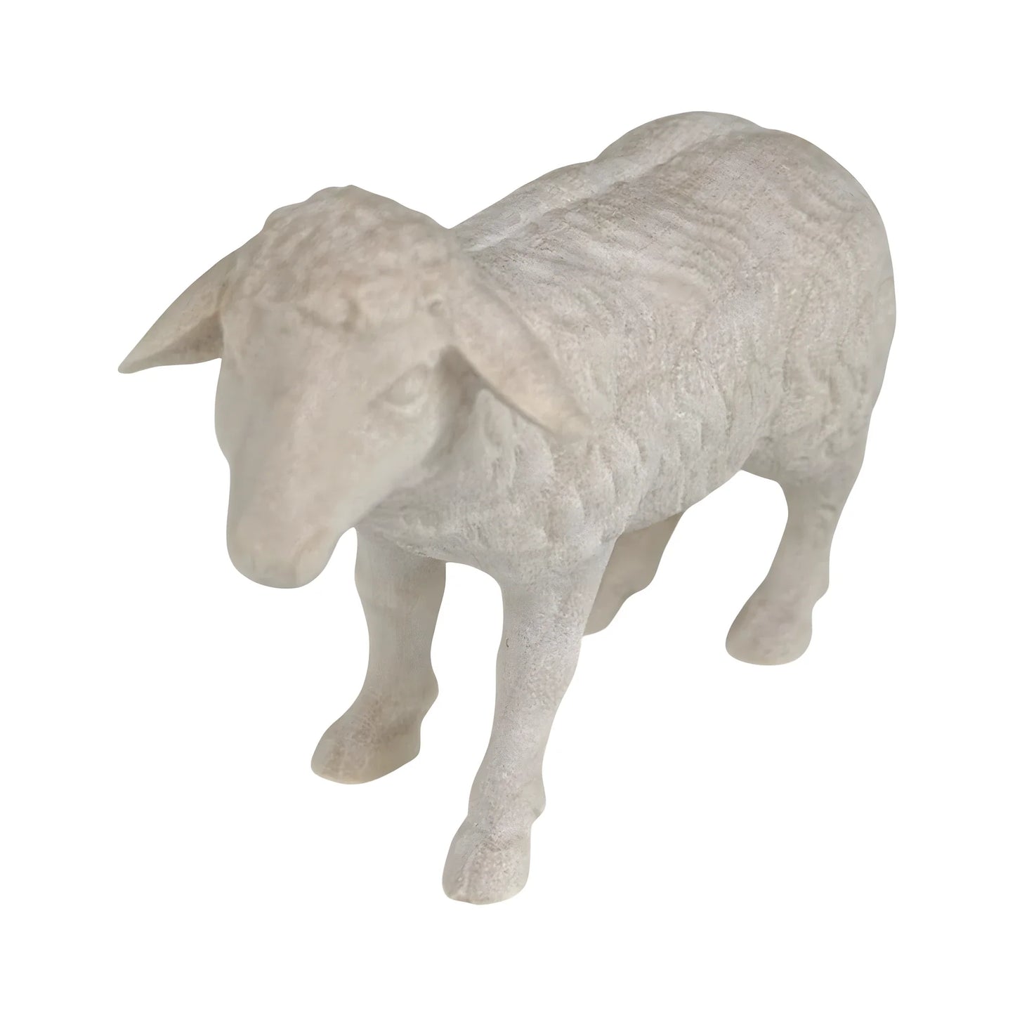 Standing Sheep in Maple Wood