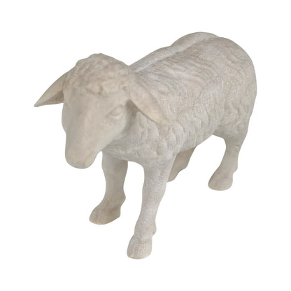 Standing Sheep in Maple Wood