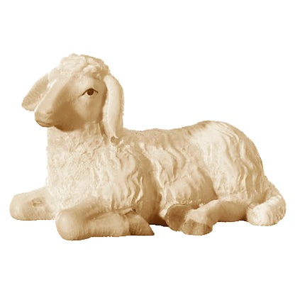Lying Sheep in Maple Wood