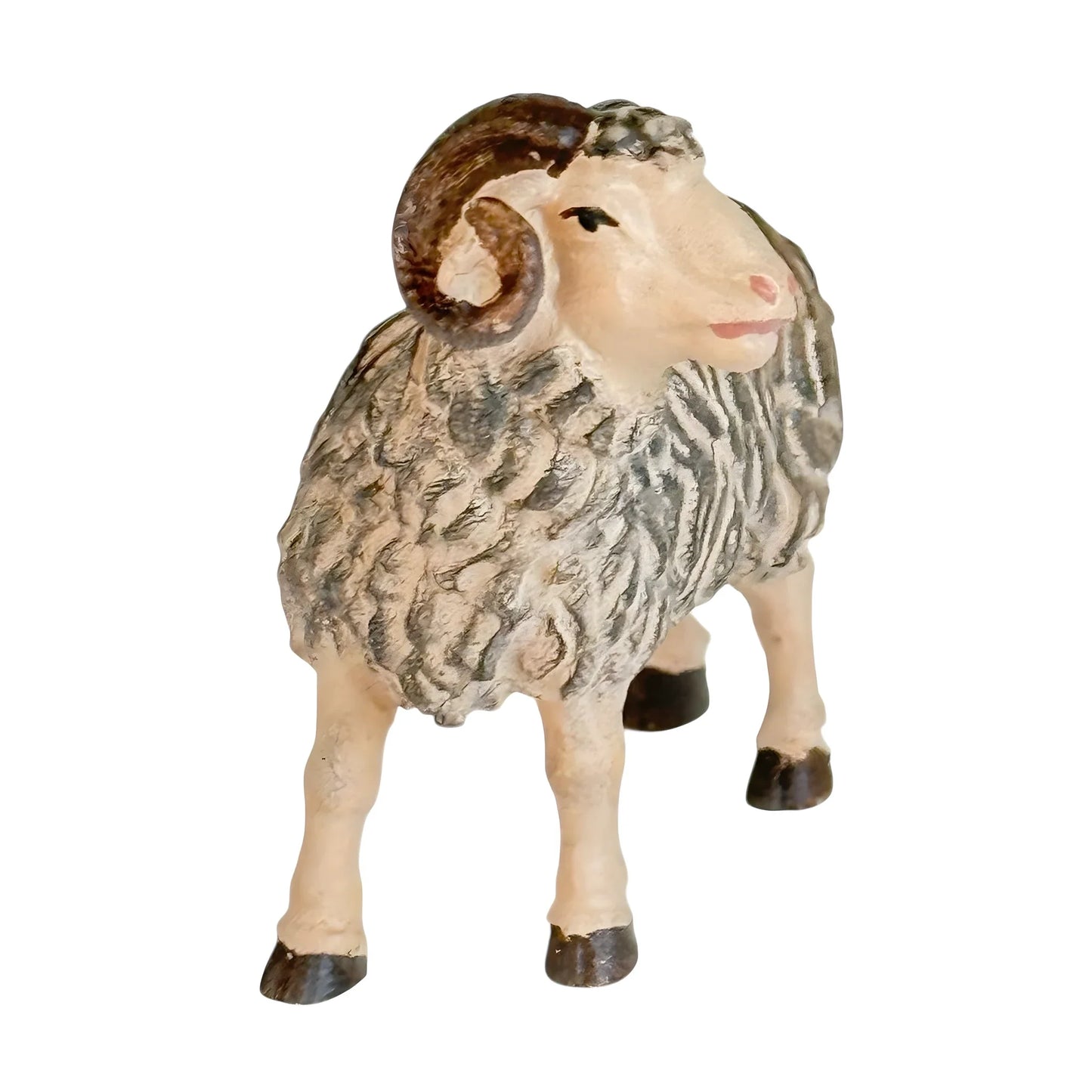 Ram - Maple Wood