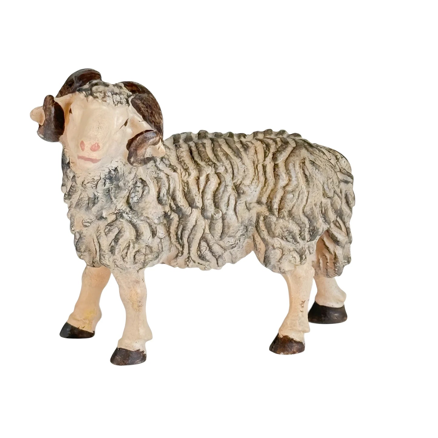 Ram - Maple Wood