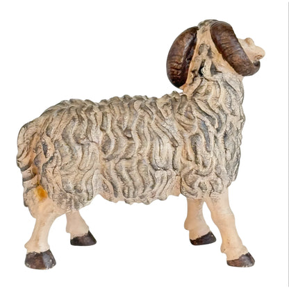 Ram - Maple Wood