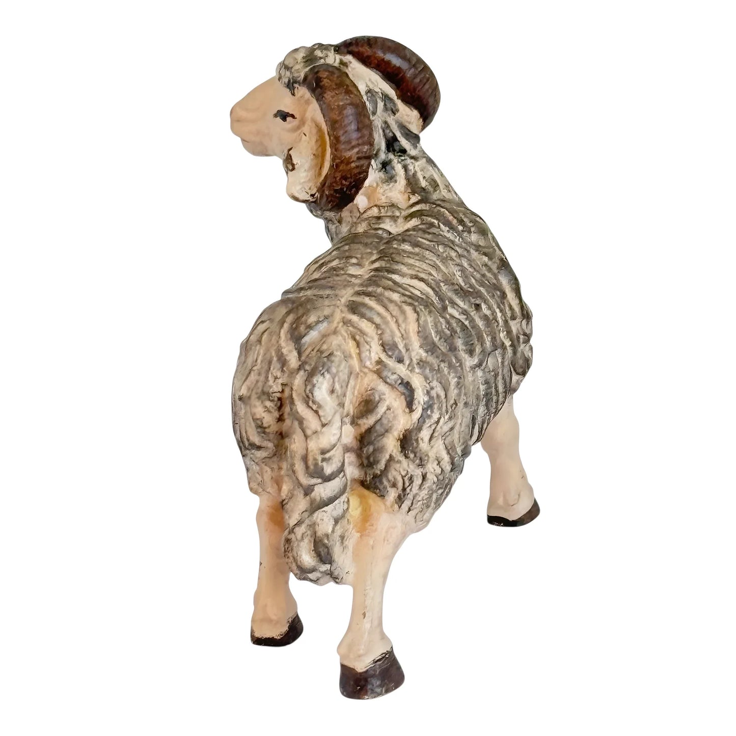Ram - Maple Wood